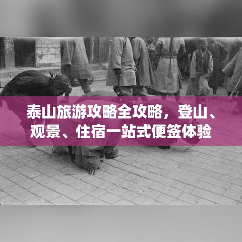泰山旅游攻略全攻略，登山、观景、住宿一站式便签体验