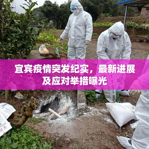 宜宾疫情突发纪实，最新进展及应对举措曝光
