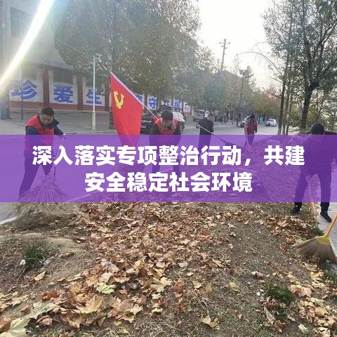 深入落实专项整治行动，共建安全稳定社会环境