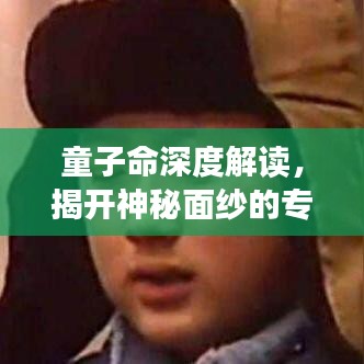 童子命深度解读，揭开神秘面纱的专题探索