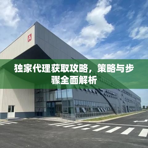 独家代理获取攻略，策略与步骤全面解析