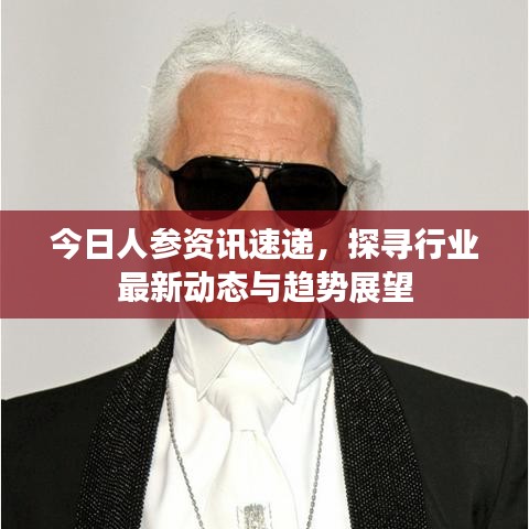 今日人参资讯速递，探寻行业最新动态与趋势展望