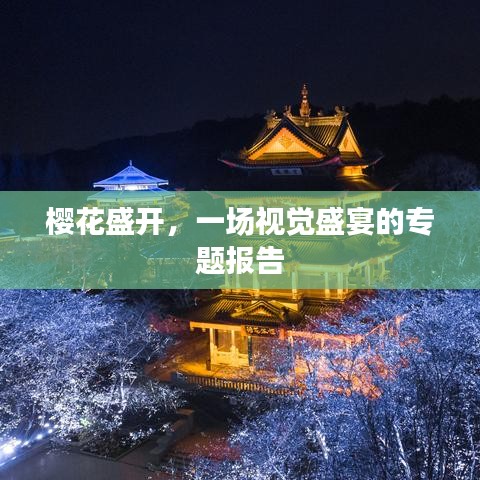 樱花盛开，一场视觉盛宴的专题报告