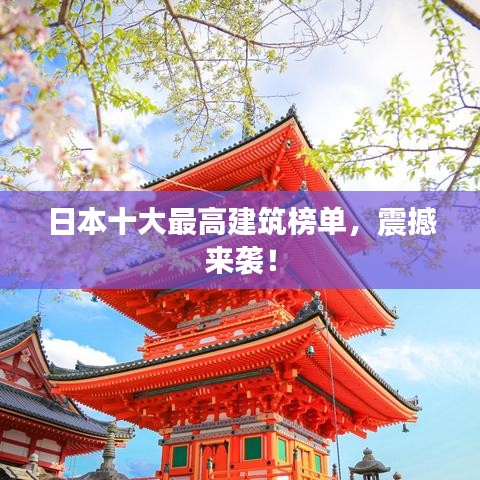 草间求活 第2页