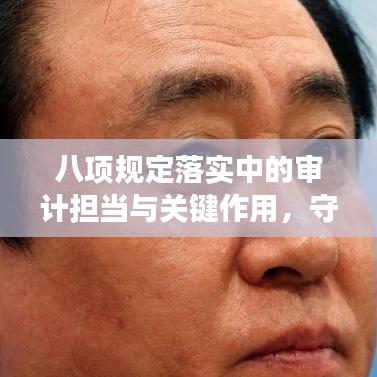 八项规定落实中的审计担当与关键作用，守护合规的守门人角色