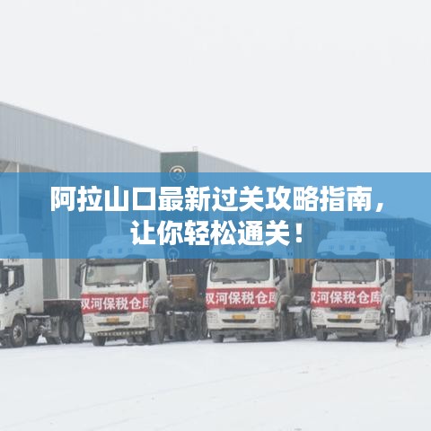 阿拉山口最新过关攻略指南，让你轻松通关！