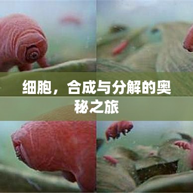 在线留言 第12页