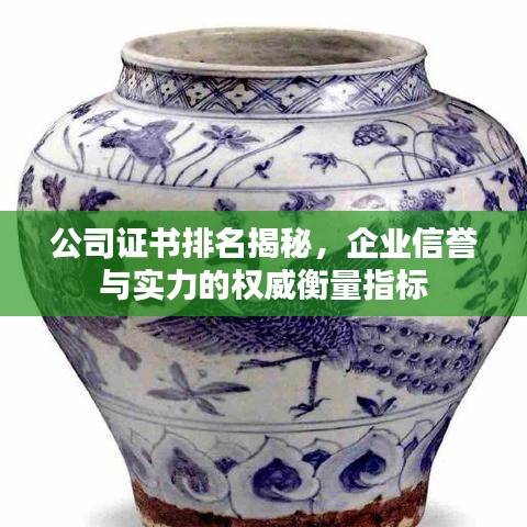 公司证书排名揭秘，企业信誉与实力的权威衡量指标