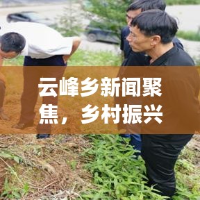 云峰乡新闻聚焦，乡村振兴与地方发展的融合创新之道