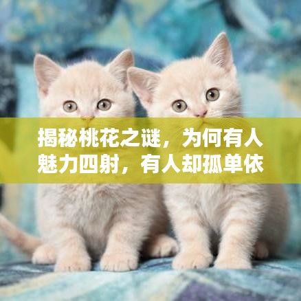 揭秘桃花之谜，为何有人魅力四射，有人却孤单依旧？