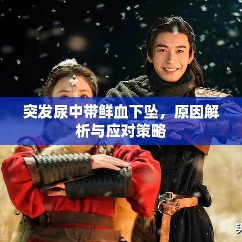 成功案例 第9页