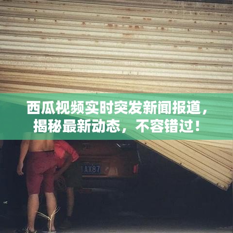 西瓜视频实时突发新闻报道，揭秘最新动态，不容错过！