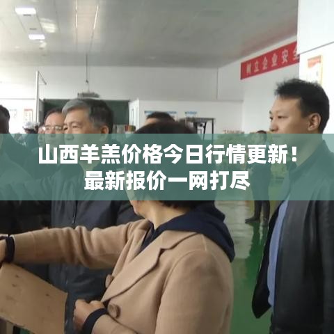 山西羊羔价格今日行情更新！最新报价一网打尽