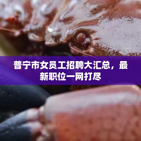 下载中心 第8页