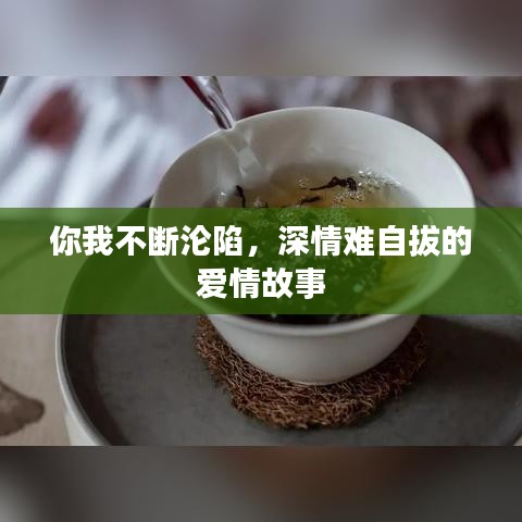 在线留言 第5页