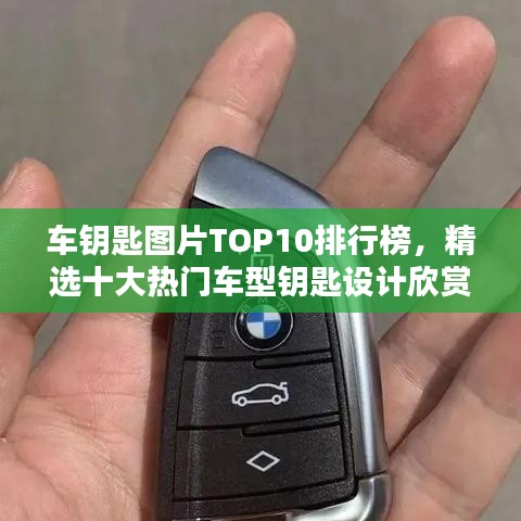 轻徙鸟举