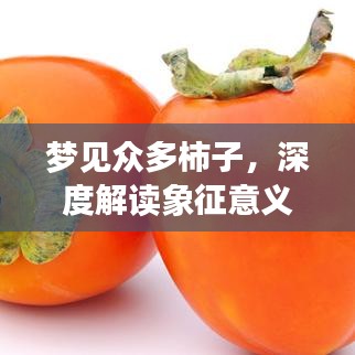 翰飞戾天